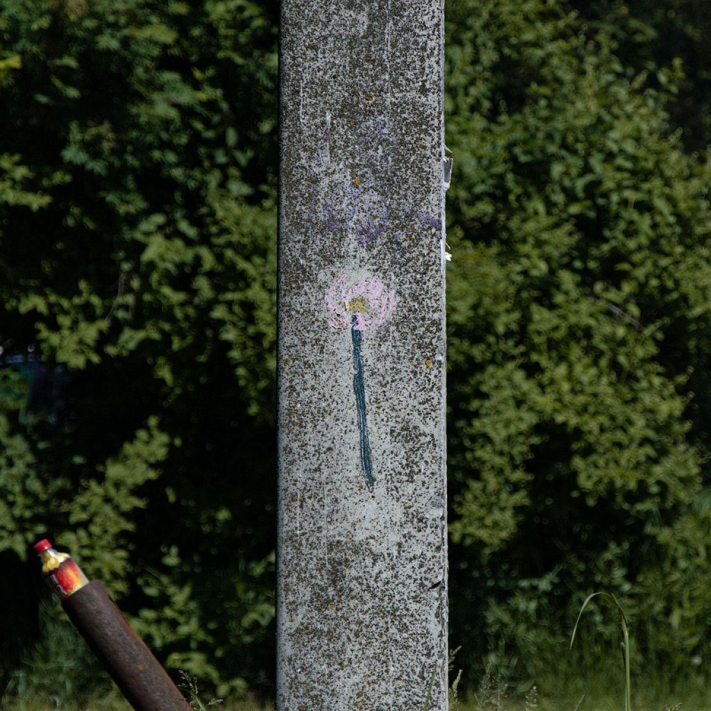 _DSC3454