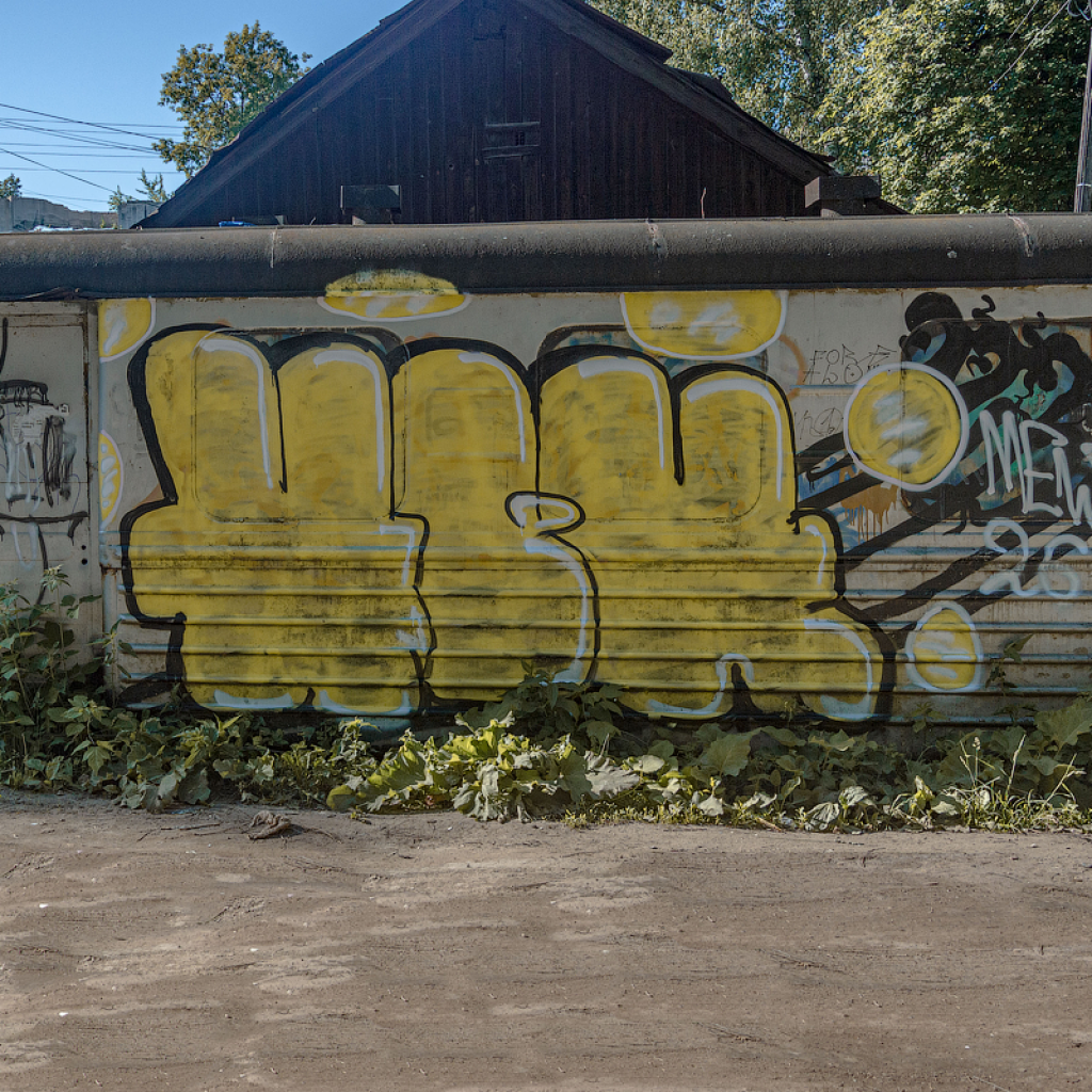 _DSC3538
