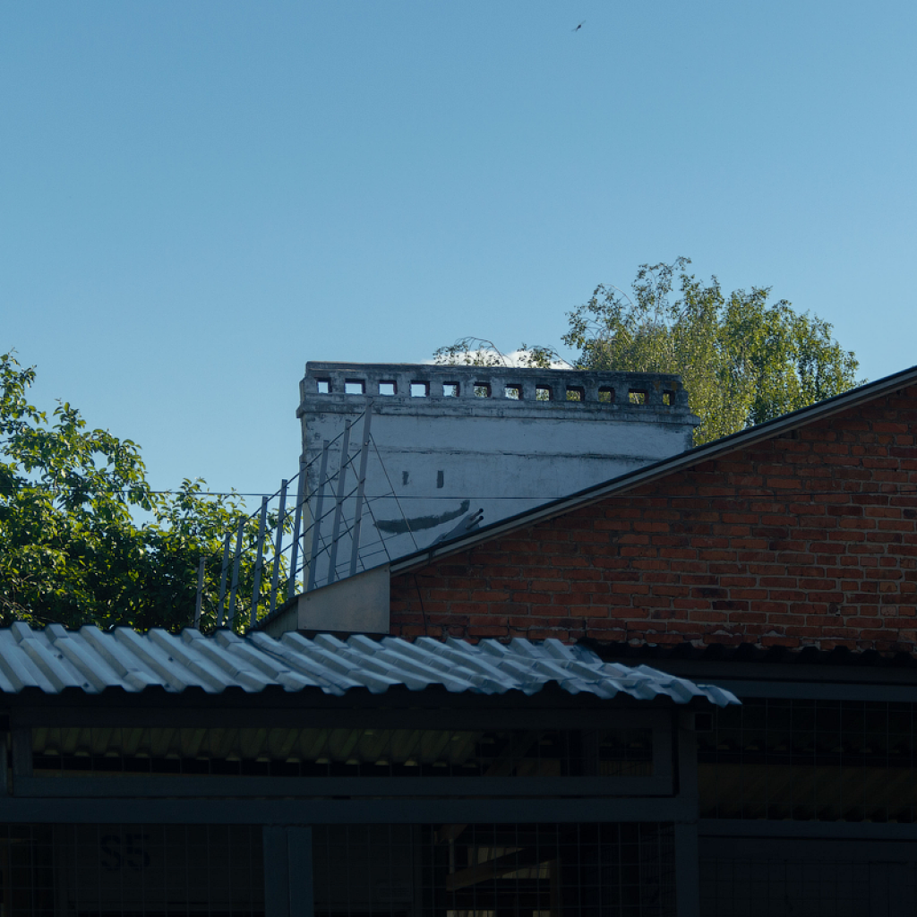 _DSC3547