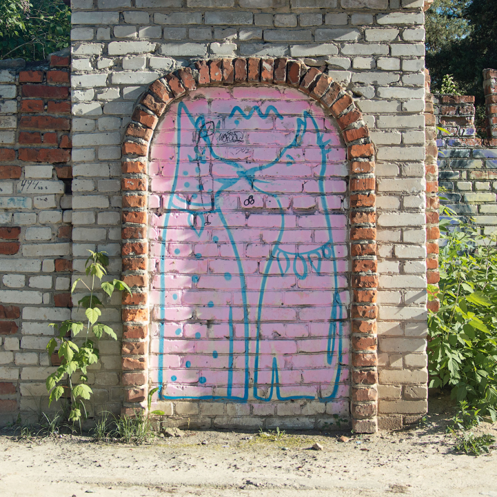_DSC3568